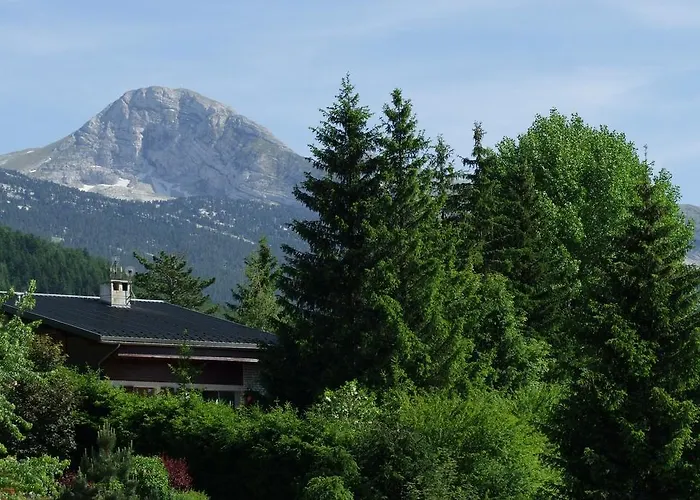 Joy De Lans Villard-de-Lans